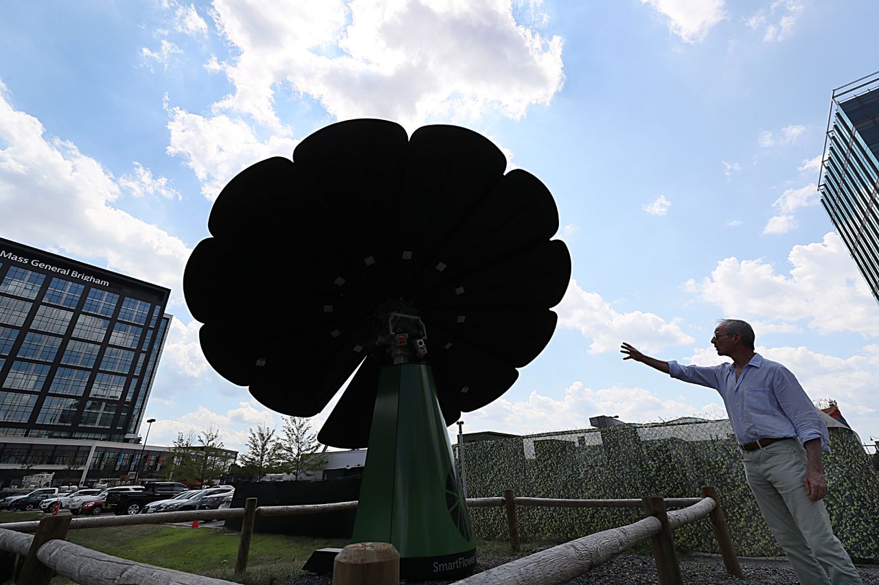 https://theofficesatassemblyrow.com/wp-content/uploads/2020/08/IN-ARTICLE-A-different-kind-of-flower-power.jpg